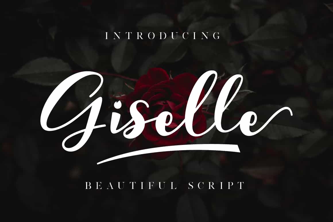 The Lovely Font Bundle - 41 Script Fonts - Artixty