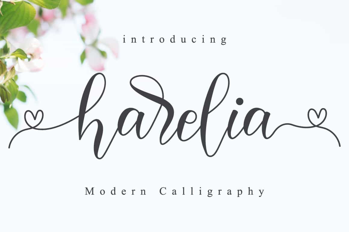The Lovely Font Bundle - 41 Script Fonts - Artixty