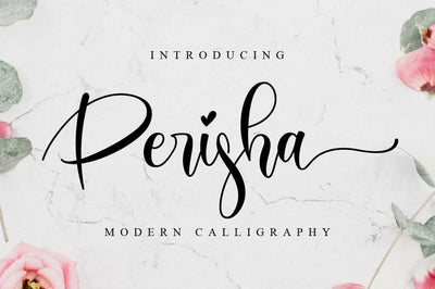 The Lovely Font Bundle - 41 Script Fonts - Artixty