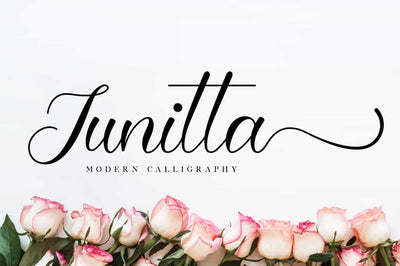 The Lovely Font Bundle - 41 Script Fonts - Artixty