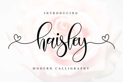 The Lovely Font Bundle - 41 Script Fonts - Artixty