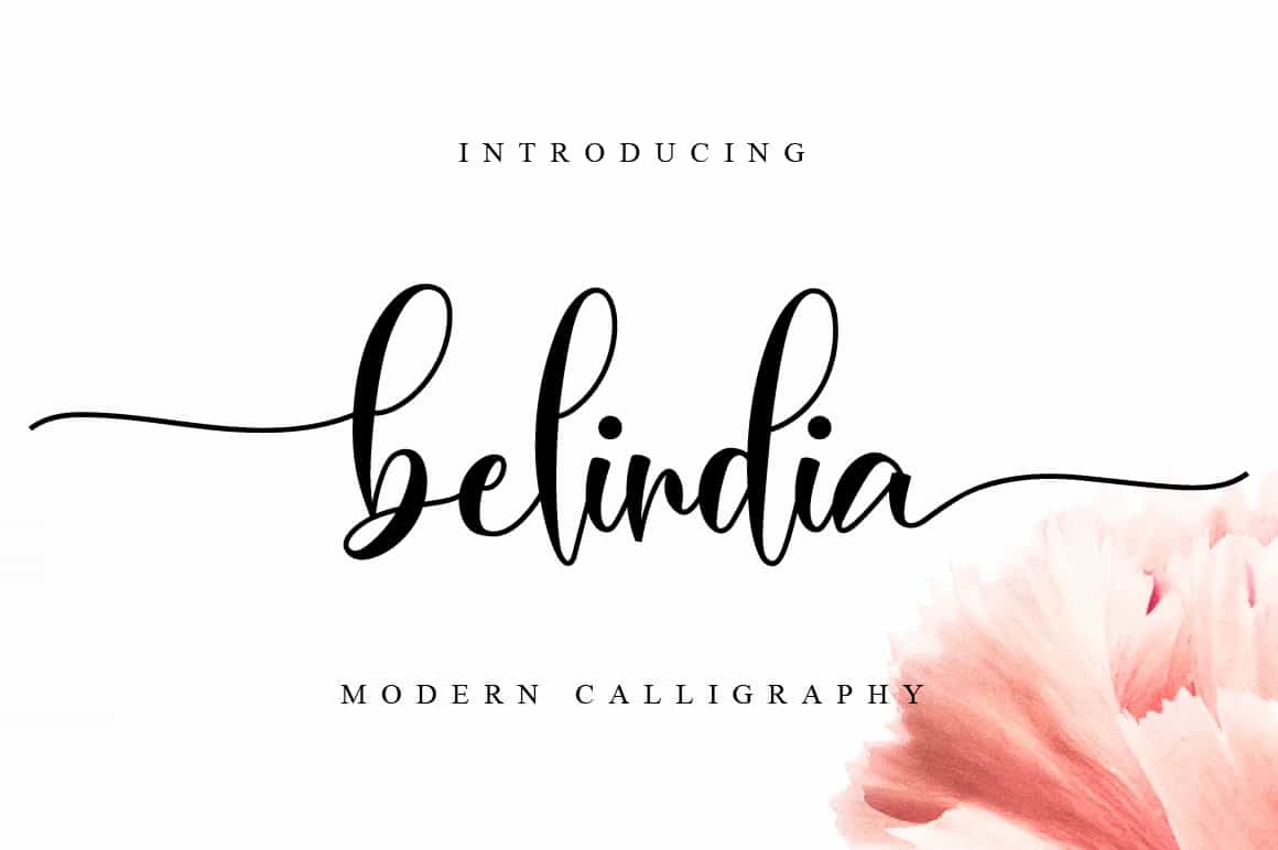 The Lovely Font Bundle - 41 Script Fonts - Artixty