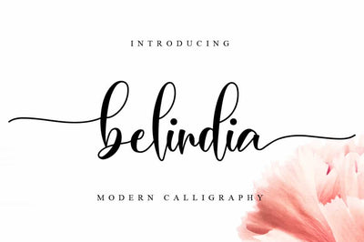 The Lovely Font Bundle - 41 Script Fonts - Artixty