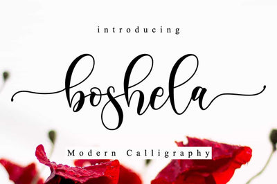 The Lovely Font Bundle - 41 Script Fonts - Artixty