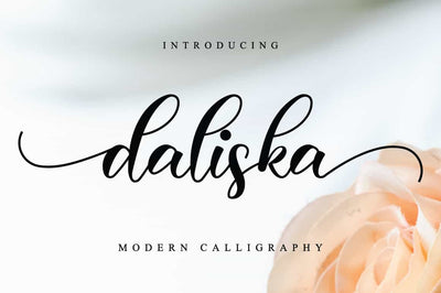 The Lovely Font Bundle - 41 Script Fonts - Artixty