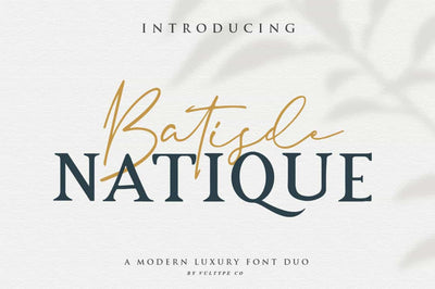 Modern Vintage Fonts Bundle - 32 Display Fonts - Artixty