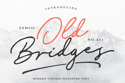 Modern Vintage Fonts Bundle - 32 Display Fonts - Artixty