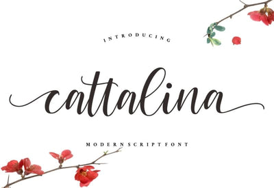 The Signature Font Bundle - 36 Professional Fonts - Artixty