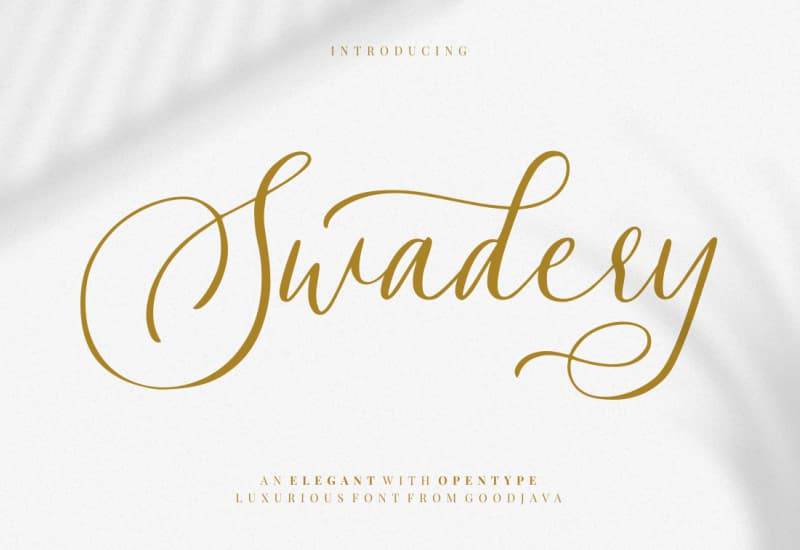 The Signature Font Bundle - 36 Professional Fonts - Artixty