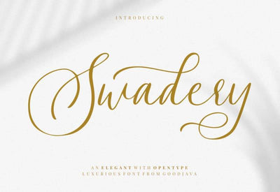 The Signature Font Bundle - 36 Professional Fonts - Artixty