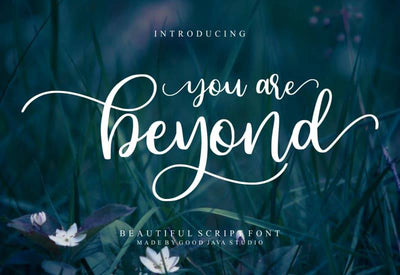 The Signature Font Bundle - 36 Professional Fonts - Artixty