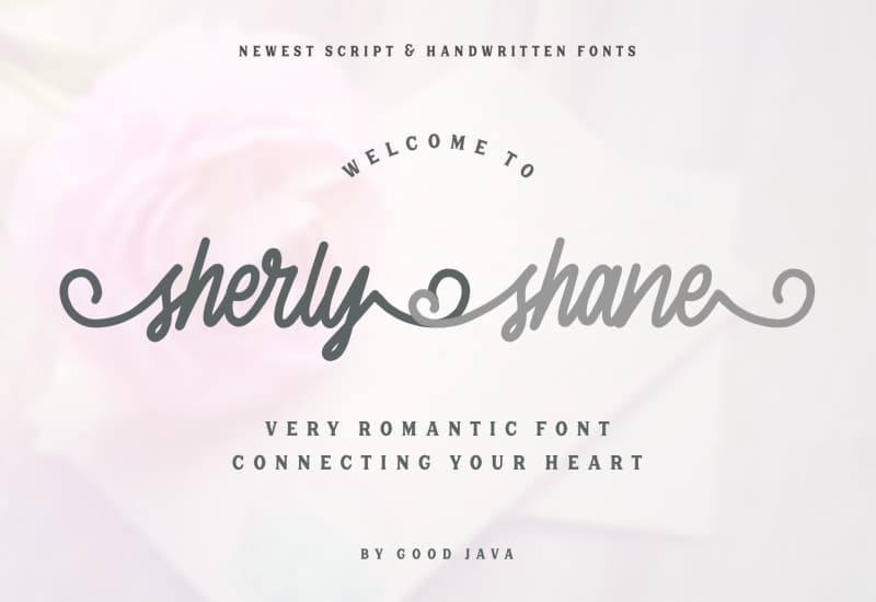The Signature Font Bundle - 36 Professional Fonts - Artixty