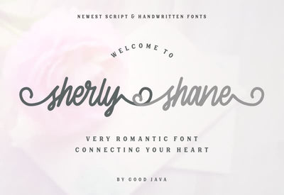 The Signature Font Bundle - 36 Professional Fonts - Artixty