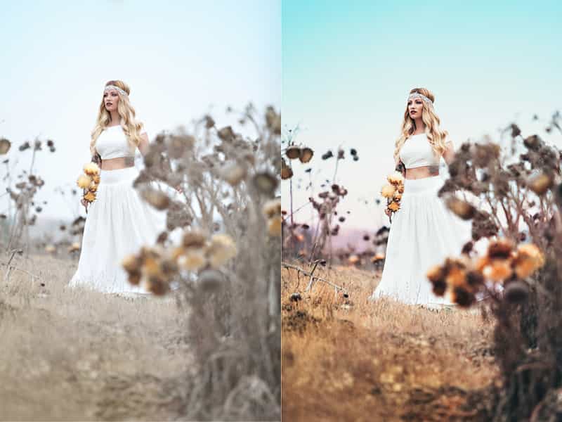 Learn How To Create Magic In Lightroom And Photoshop - Artixty