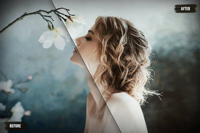 The Professional Affinity Presets Bundle - 5000+ LUTs - Artixty