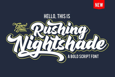 The Descriptive Font Bundle - 69 Fonts and Bonus Vectors - Artixty