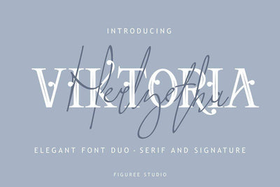 The Descriptive Font Bundle - 69 Fonts and Bonus Vectors - Artixty