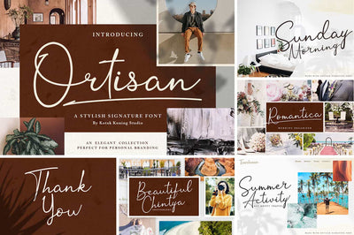 The Modern Script Font Bundle - 22 Premium Font - Artixty