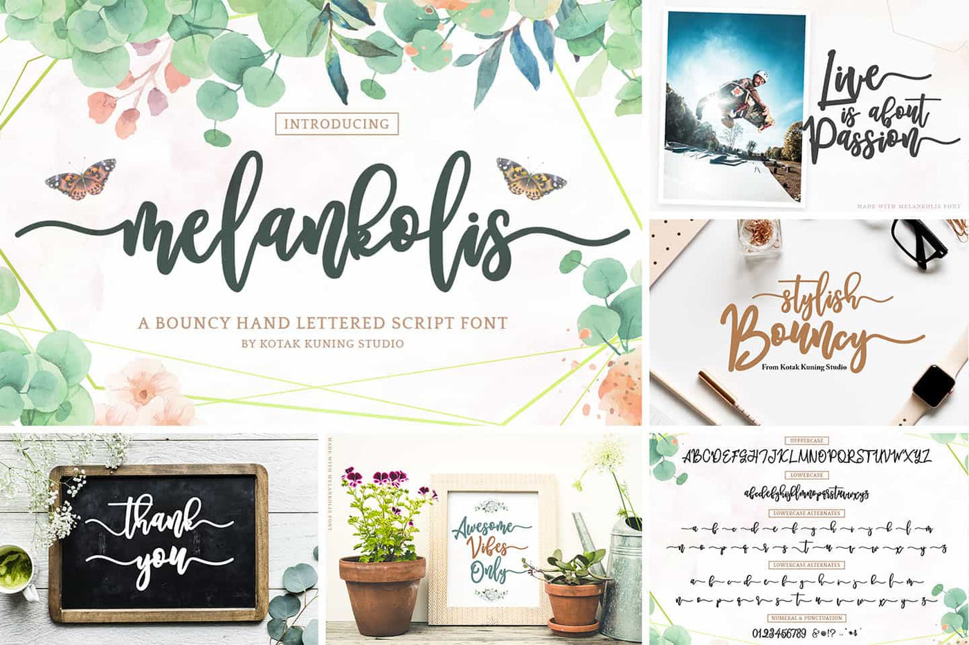 The Modern Script Font Bundle - 22 Premium Font - Artixty