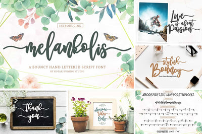 The Modern Script Font Bundle - 22 Premium Font - Artixty