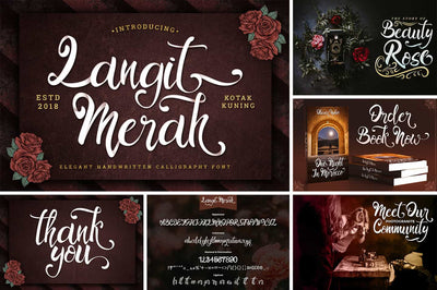 The Modern Script Font Bundle - 22 Premium Font - Artixty