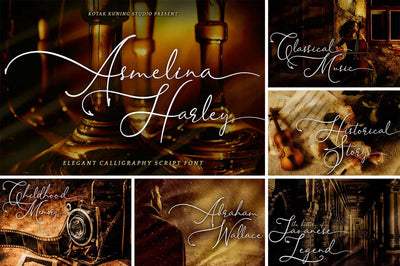 The Modern Script Font Bundle - 22 Premium Font - Artixty