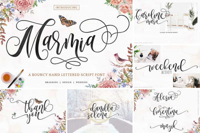 The Modern Script Font Bundle - 22 Premium Font - Artixty