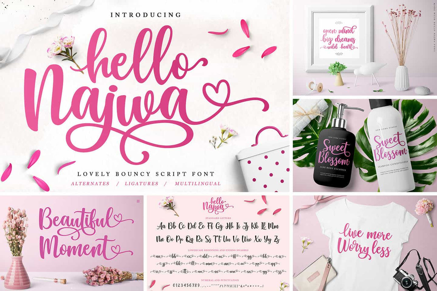 The Modern Script Font Bundle - 22 Premium Font - Artixty