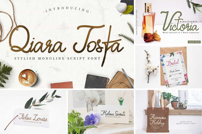 The Modern Script Font Bundle - 22 Premium Font - Artixty