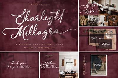 The Modern Script Font Bundle - 22 Premium Font - Artixty