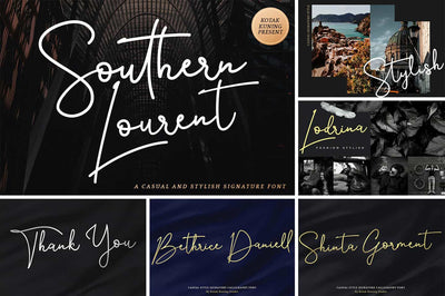 The Modern Script Font Bundle - 22 Premium Font - Artixty