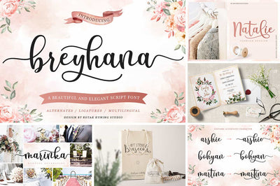 The Modern Script Font Bundle - 22 Premium Font - Artixty