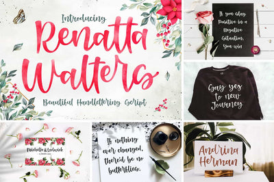 The Modern Script Font Bundle - 22 Premium Font - Artixty