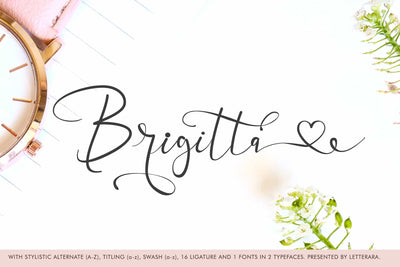 The Superlative Font Bundle - 62 Elegant Fonts - Artixty