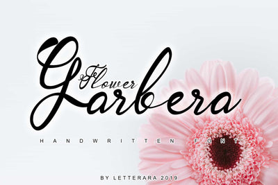 The Superlative Font Bundle - 62 Elegant Fonts - Artixty
