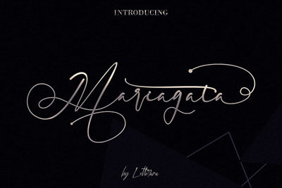 The Superlative Font Bundle - 62 Elegant Fonts - Artixty