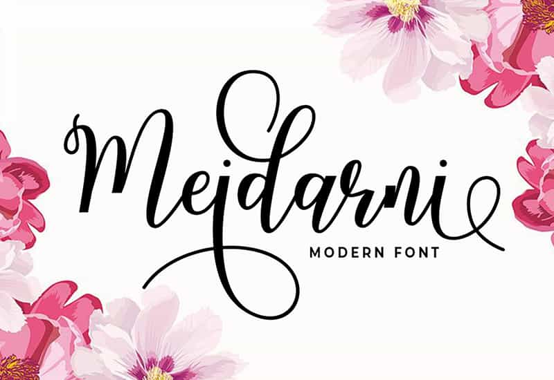 Decorative Script Font Bundle - 40 Exclusive Fonts - Artixty