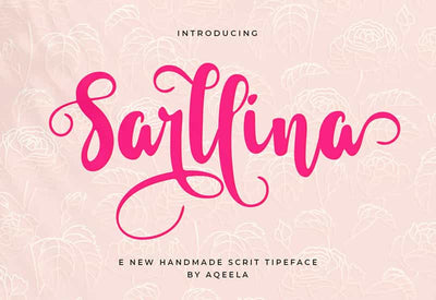 Decorative Script Font Bundle - 40 Exclusive Fonts - Artixty