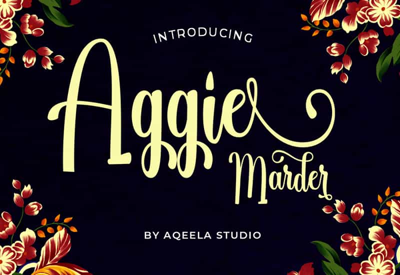 Decorative Script Font Bundle - 40 Exclusive Fonts - Artixty