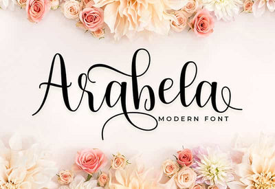 Decorative Script Font Bundle - 40 Exclusive Fonts - Artixty