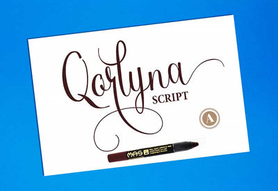 Decorative Script Font Bundle - 40 Exclusive Fonts - Artixty