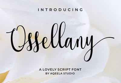 Decorative Script Font Bundle - 40 Exclusive Fonts - Artixty