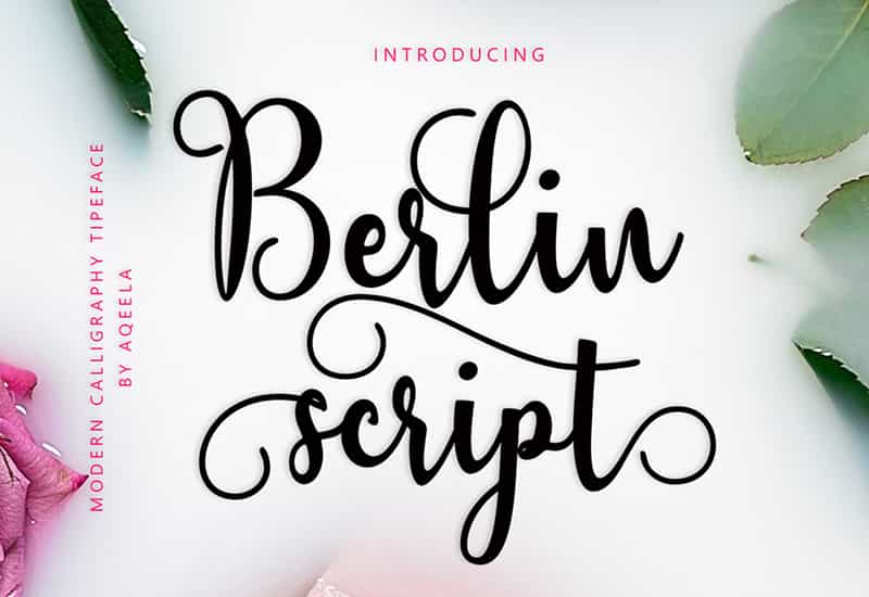 Decorative Script Font Bundle - 40 Exclusive Fonts | Artixty