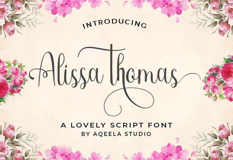 Decorative Script Font Bundle - 40 Exclusive Fonts - Artixty