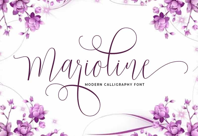 Decorative Script Font Bundle - 40 Exclusive Fonts - Artixty