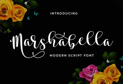 Decorative Script Font Bundle - 40 Exclusive Fonts - Artixty