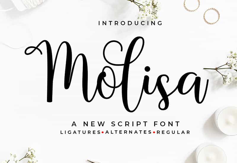 Decorative Script Font Bundle - 40 Exclusive Fonts - Artixty