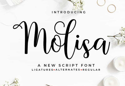 Decorative Script Font Bundle - 40 Exclusive Fonts - Artixty