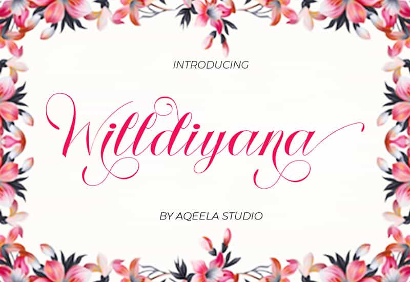 Decorative Script Font Bundle - 40 Exclusive Fonts - Artixty