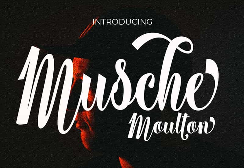 Decorative Script Font Bundle - 40 Exclusive Fonts - Artixty